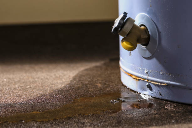 Best Basement water damage restoration  in Pomona, KS