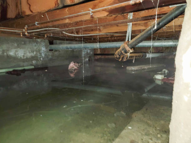 Best Water damage restoration process  in Pomona, KS