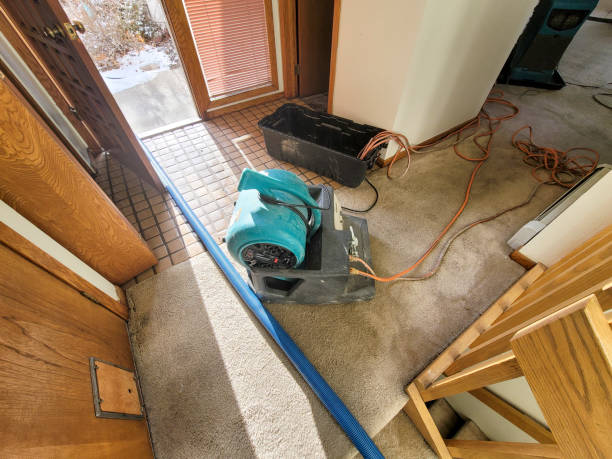 Best Flooded house restoration  in Pomona, KS