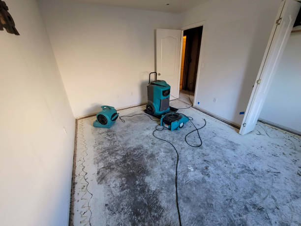 Best Ceiling water damage repair  in Pomona, KS