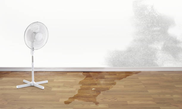 Best Emergency water damage restoration  in Pomona, KS