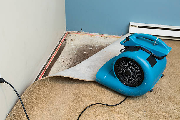Best Fire Damage Restoration  in Pomona, KS
